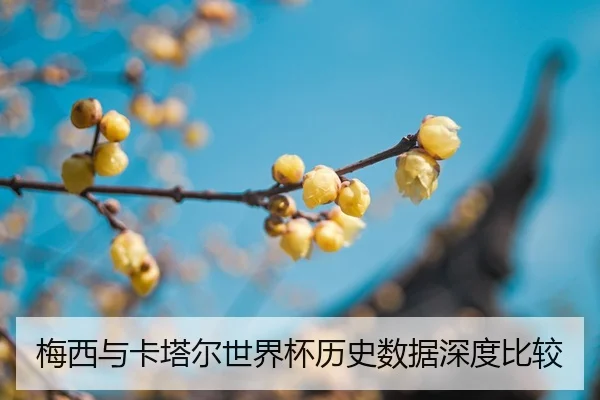 mei-xi-yu-ka-ta-er-shi-jie-bei-li-shi-shu-ju-shen-du-bi-jiao-2-389.jpg